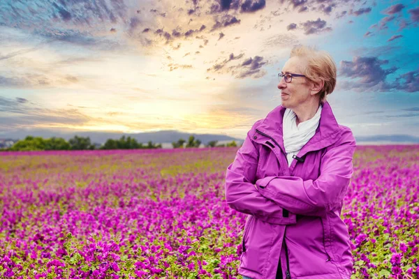 Mujer Mayor Parada Aire Libre Campo Flores Púrpuras Silvestres Atardecer —  Fotos de Stock