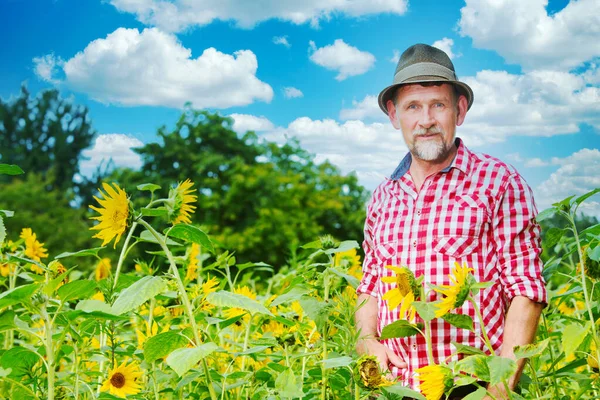 50多岁的英俊的巴伐利亚男子站在向日葵的田野里的肖像 — 图库照片