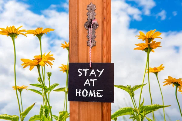 Veld Van Gele Bloemen Een Bord Met Woorden Stay Home — Stockfoto