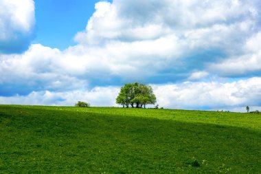 yeşil alanların panoramik görüntüsü ve mavi bulutlu gökyüzü ile ağaç 