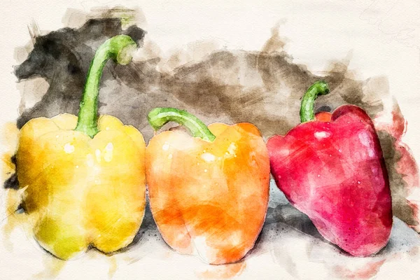 Three Bellpeppers Different Colors Style Aquarelle — Stock Photo, Image