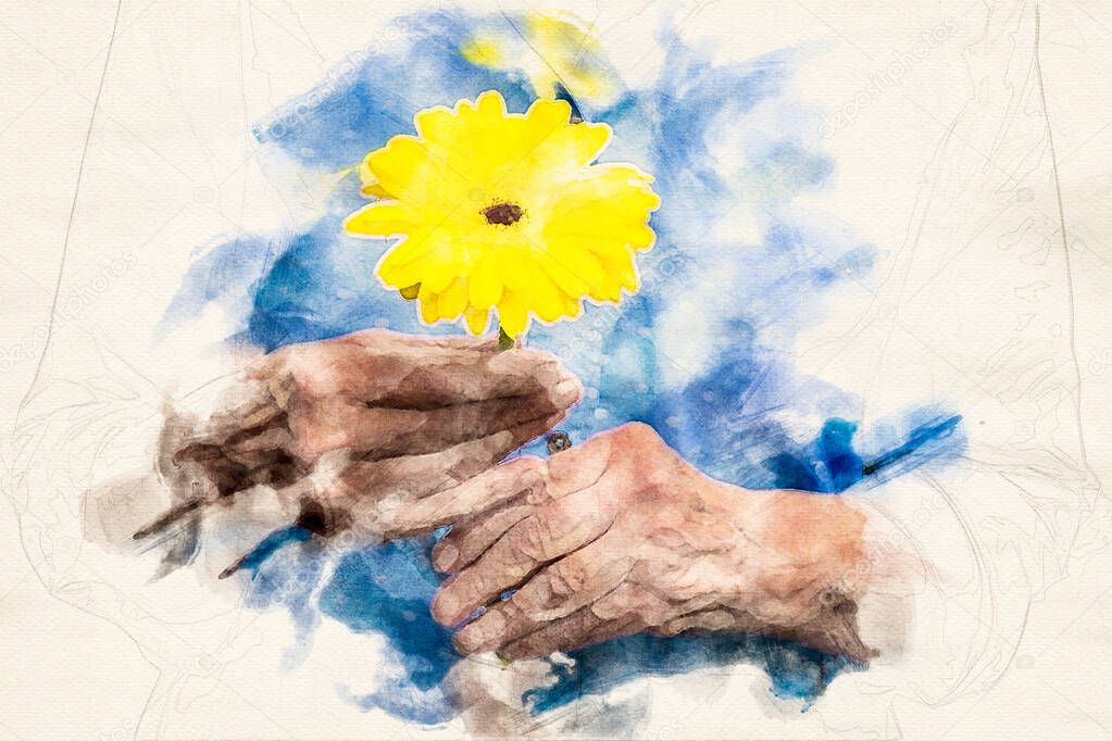 close-up of older womans hand holding a yellow flower in the style of an aquarelle