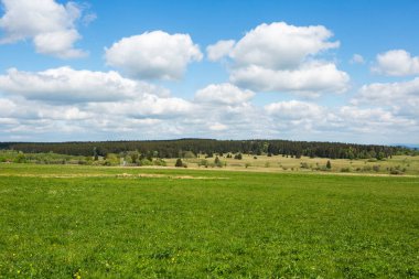 Gökyüzü mavi bulutlu yeşil alanlar ve ağaçların panoramik görüntüsü 