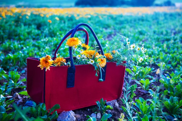 Panier Rouge Plein Fleurs Jaunes Blanches Sur Champ — Photo