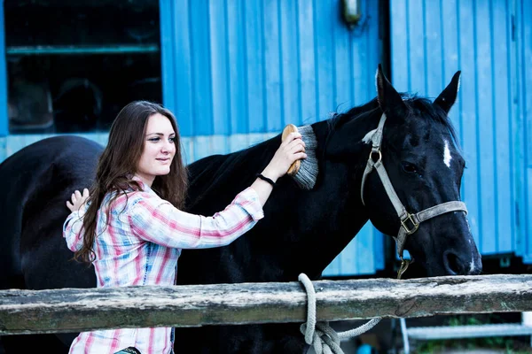 ブルネット若いです女性立ち屋外で彼女の黒馬とともに — ストック写真