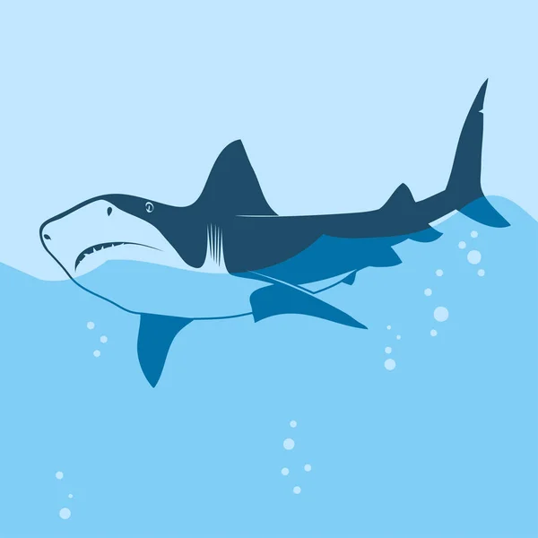 Μεγάλος λευκός καρχαρίας — Διανυσματικό Αρχείο