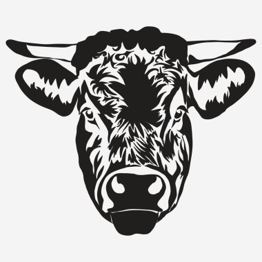 Boğa baş vektör
