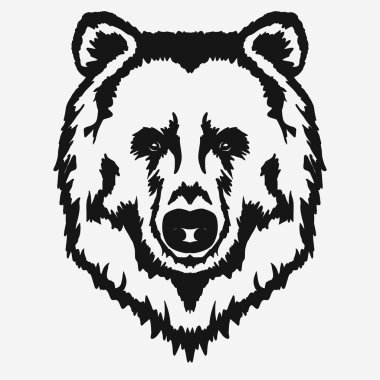 Ayı baş karikatür vektör