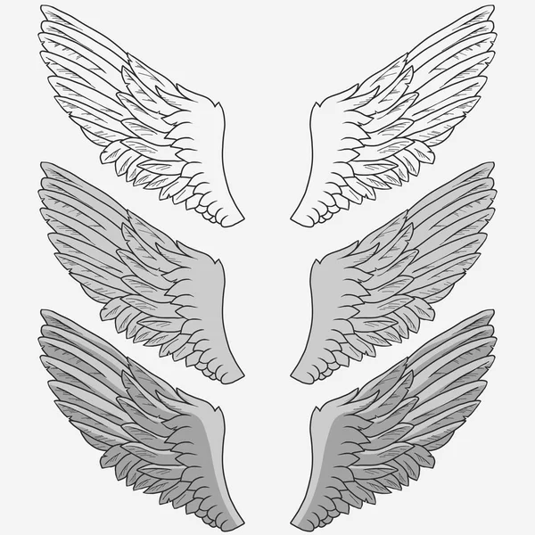 Conjunto de alas de aves — Vector de stock