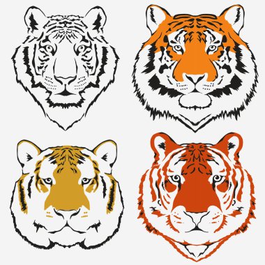 Tiger logo vektör ayarla