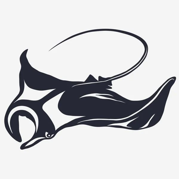 Logotipo del vector stingray — Vector de stock