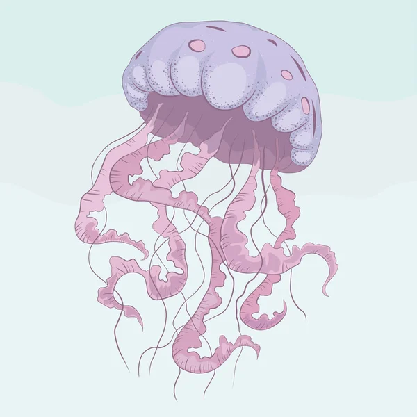 Medusas Ilustración dibujada a mano — Vector de stock