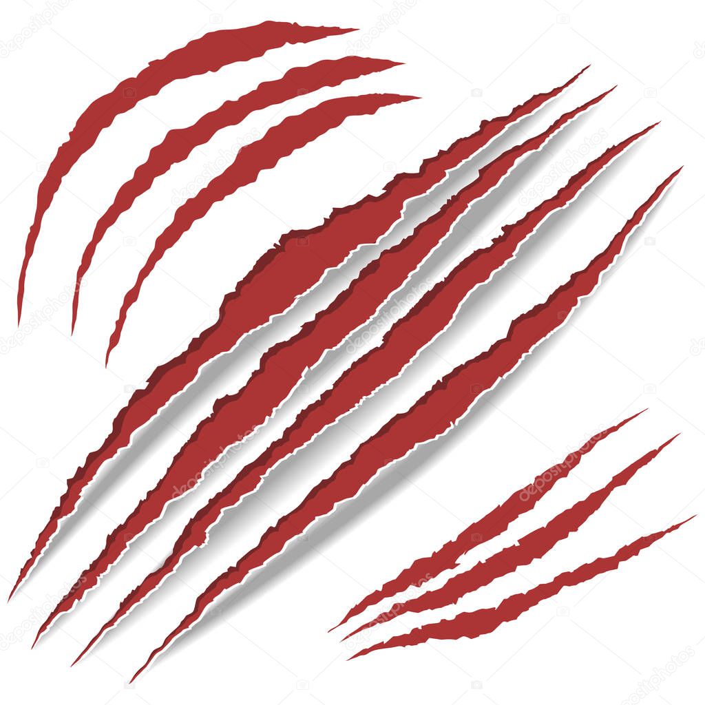 Animal Claws scratches. vector