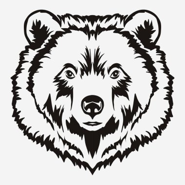 Ayı baş karikatür vektör