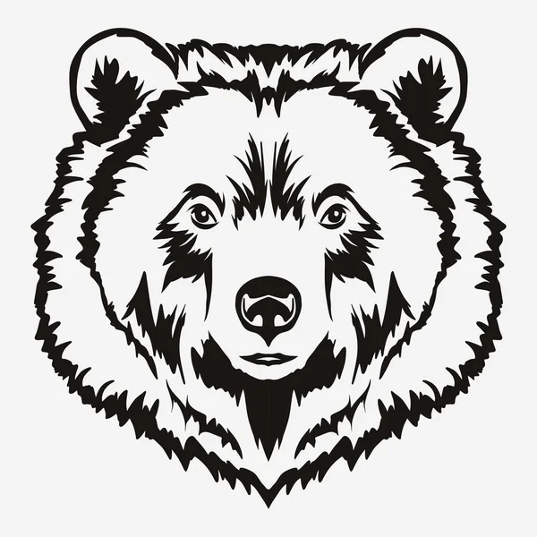 Tête d'ours vecteur de dessin animé — Image vectorielle