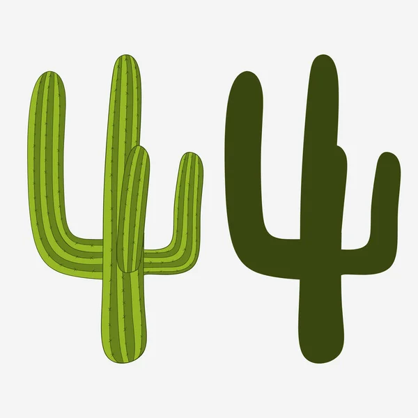 Mexikói kaktusz, sivatagi növény. vektor — Stock Vector