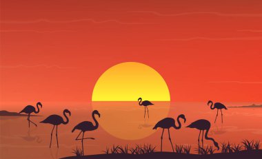 Flamingo silueti, gün batımında göl manzarasında. Vektör