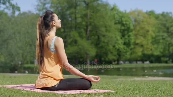 Ung kvinna mediterar i solig park, bakifrån. — Stockvideo