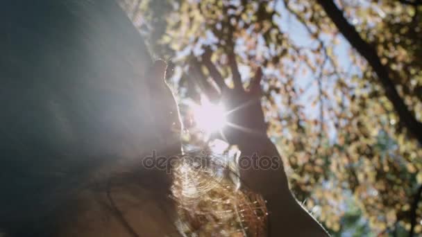 Female hand rasing to sun through autumnal trees. — Stock Video