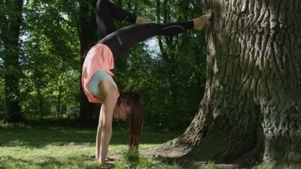 Beautiful young woman practicing yoga in sunny park and handstand next to tree. — Stock Video