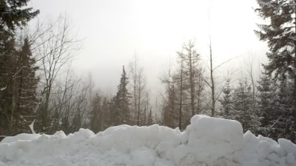 Jonge vrouw genieten van uitzicht in een winter bergbos. Achteraanzicht. — Stockvideo