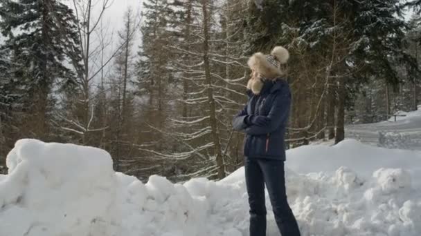 Ung kvinna njuter utsikten i en vinter bergskog. Vy bakifrån. — Stockvideo