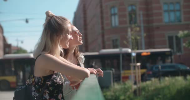 Retrato de dos chicas felices discutiendo las últimas noticias de chismes . — Vídeo de stock