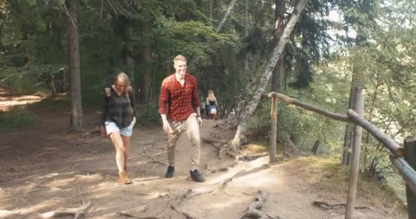 Beau couple caucasien se détendre dans une forêt pendant la journée ensoleillée . — Video