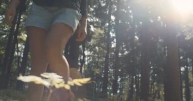 Yeşil doğa arka plan üzerinde bitkiye dokunmayacak kadının el yakın çekim. 