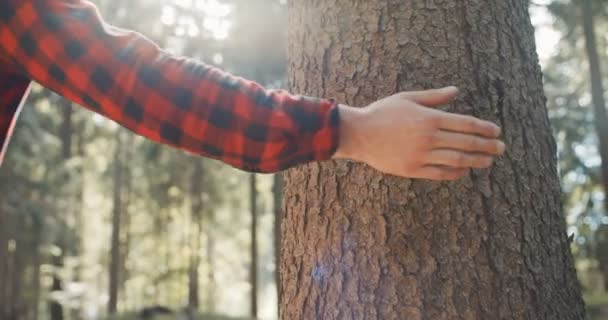 Nahaufnahme einer männlichen Hand, die einen Baum im Wald berührt. — Stockvideo