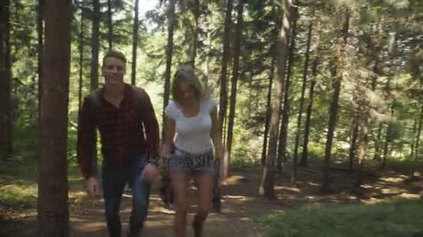 Glimlachend verliefde paar wandelen in bos. — Stockvideo