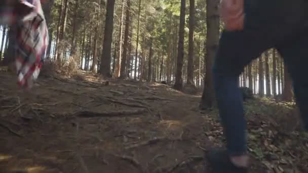 Vue arrière de beau couple caucasien passant du temps dans une forêt pendant la journée ensoleillée . — Video