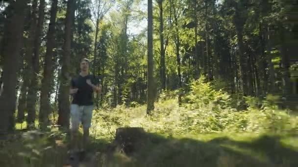 Schöner Mann läuft bei sonnigem Wetter im Wald. — Stockvideo