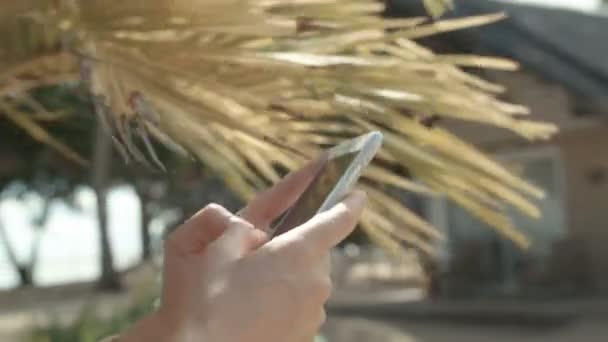 Akıllı Telefon Kullanarak Eller Kadın Üstünde Hareket Eden Telefon Yazarak — Stok video