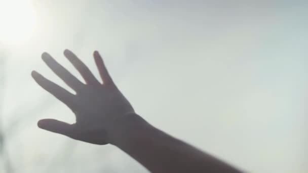 Κοντινό Πλάνο Του Σήκωσε Χέρι Έναν Ουρανό — Αρχείο Βίντεο