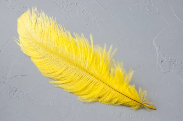 黄色のダチョウの羽 — ストック写真