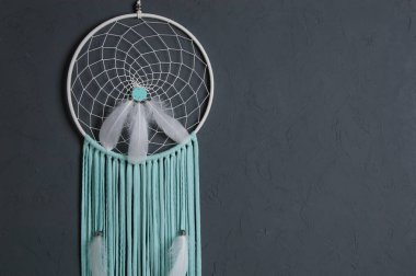 Beyaz nane rüya yakalayıcı 