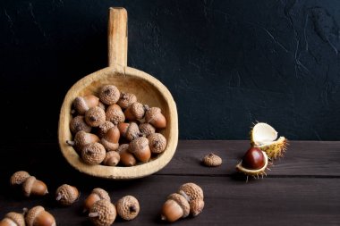 Meşe palamutları ve kahverengi kestane