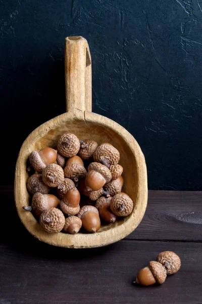 Meşe palamudu kahverengi ahşap zemin üzerinde