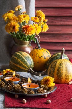 Kabaklar, bakır sürahi ile sarı krizantem 