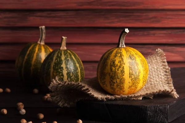kabaklar ahşap arkaplanda