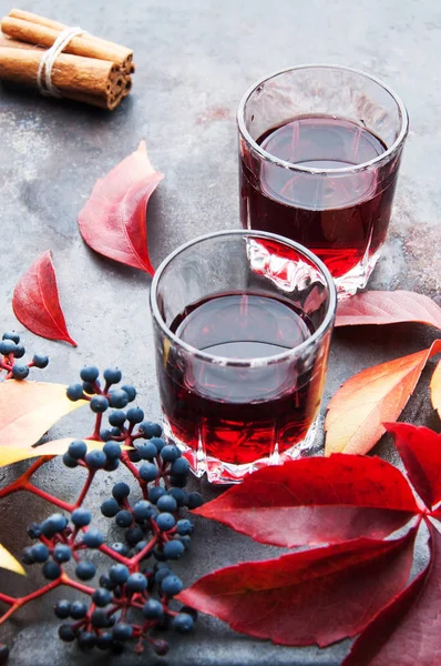 Deux verres de boisson rouge — Photo