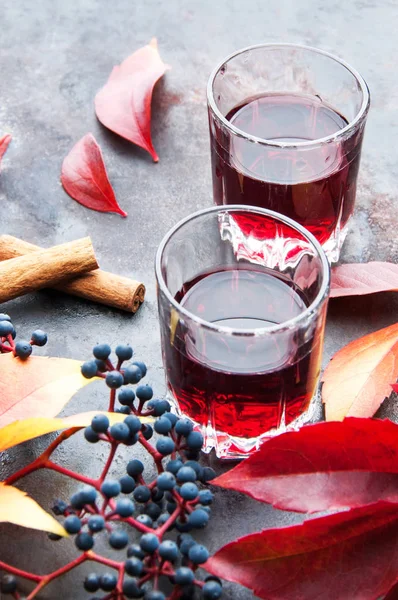 Deux verres de boisson rouge — Photo