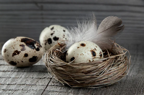 Quail eggs and feather in nest on wooden background — Stock Photo, Image