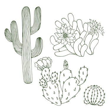 Elle çizilmiş vektör kaktüs set. Bitki Meksika doğa, egzotik flora illüstrasyon