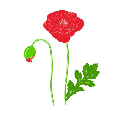 Siyah haşhaş set - vektör çizim