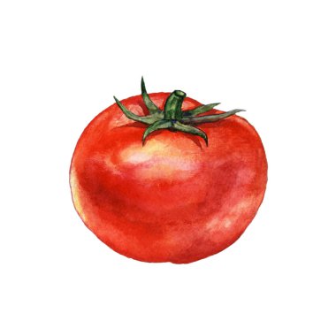 Domates sulu boya resim