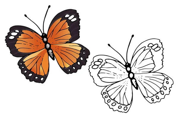 Butterfly Coloring Set Vector Illustration — Stock Vector