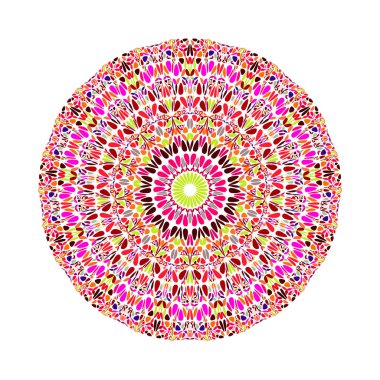 Dairesel renkli soyut geometrik botanik desenli mandala