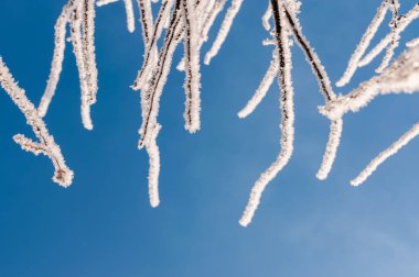 Frost kar taneleri ile şube